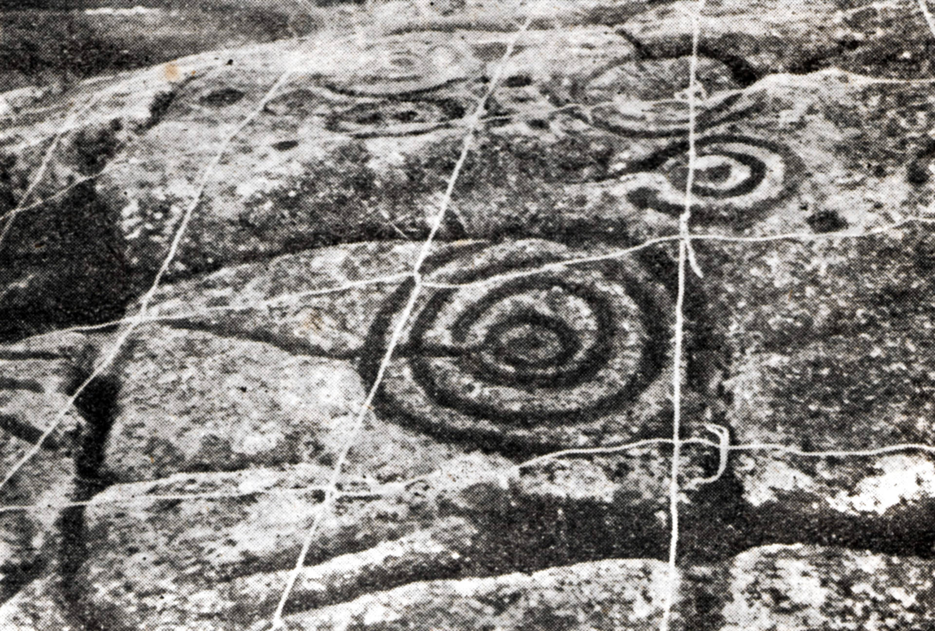 Registro del petroglifo de Oca.1951. ArchivoNúñez – Sobrino. Fotografías de Ramón Sobrino Lorenzo - Ruza (1939-1958). Digitalización Colectivo A Rula.
