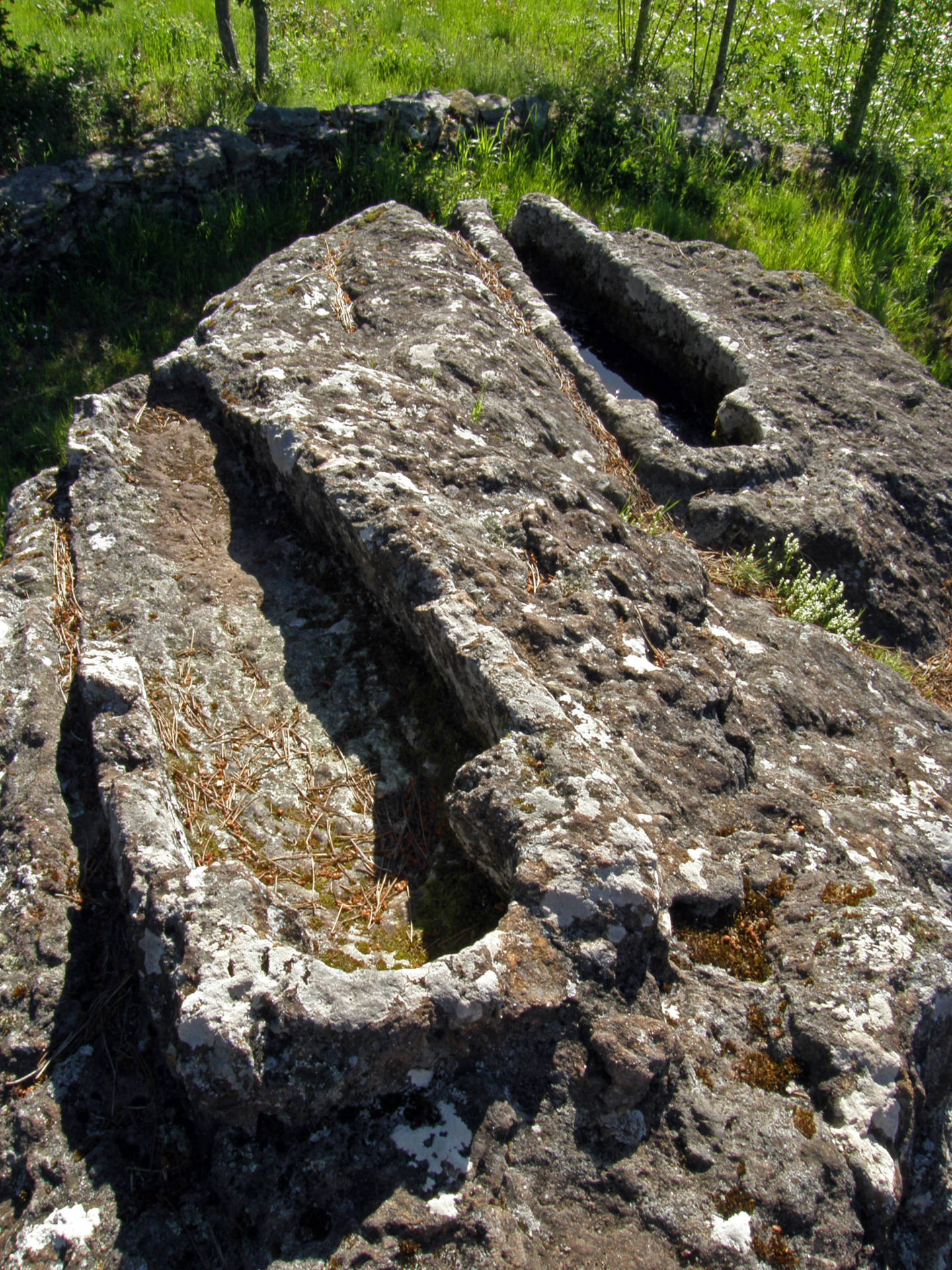 Sarcófagos de Pedra do Home (Portomouro, Val do Dubra).