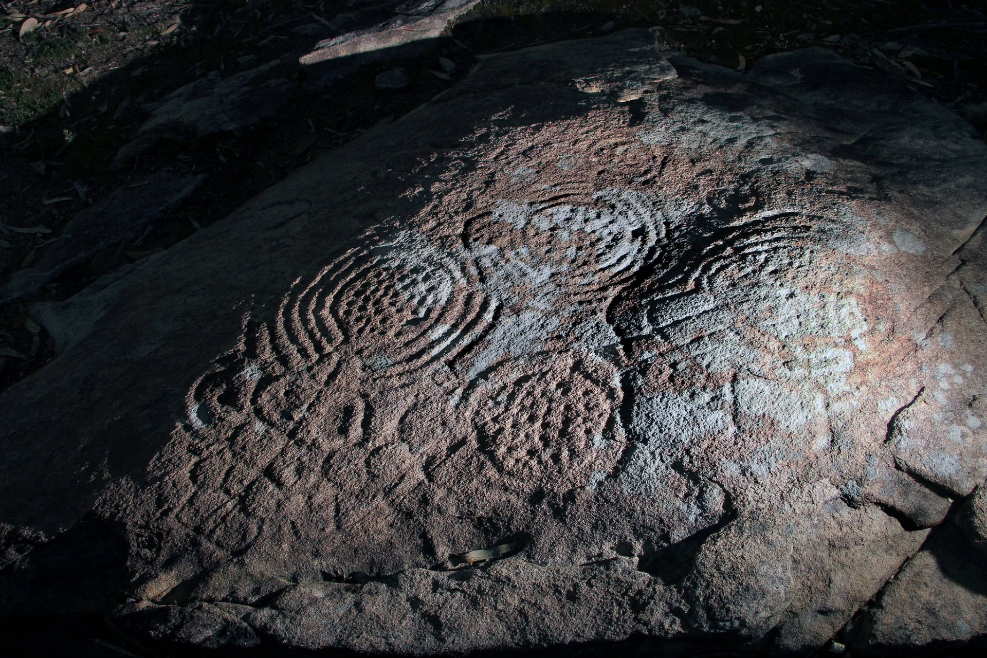 Vista general del petroglifo de Monte Castelo.©Colectivo a Rula.