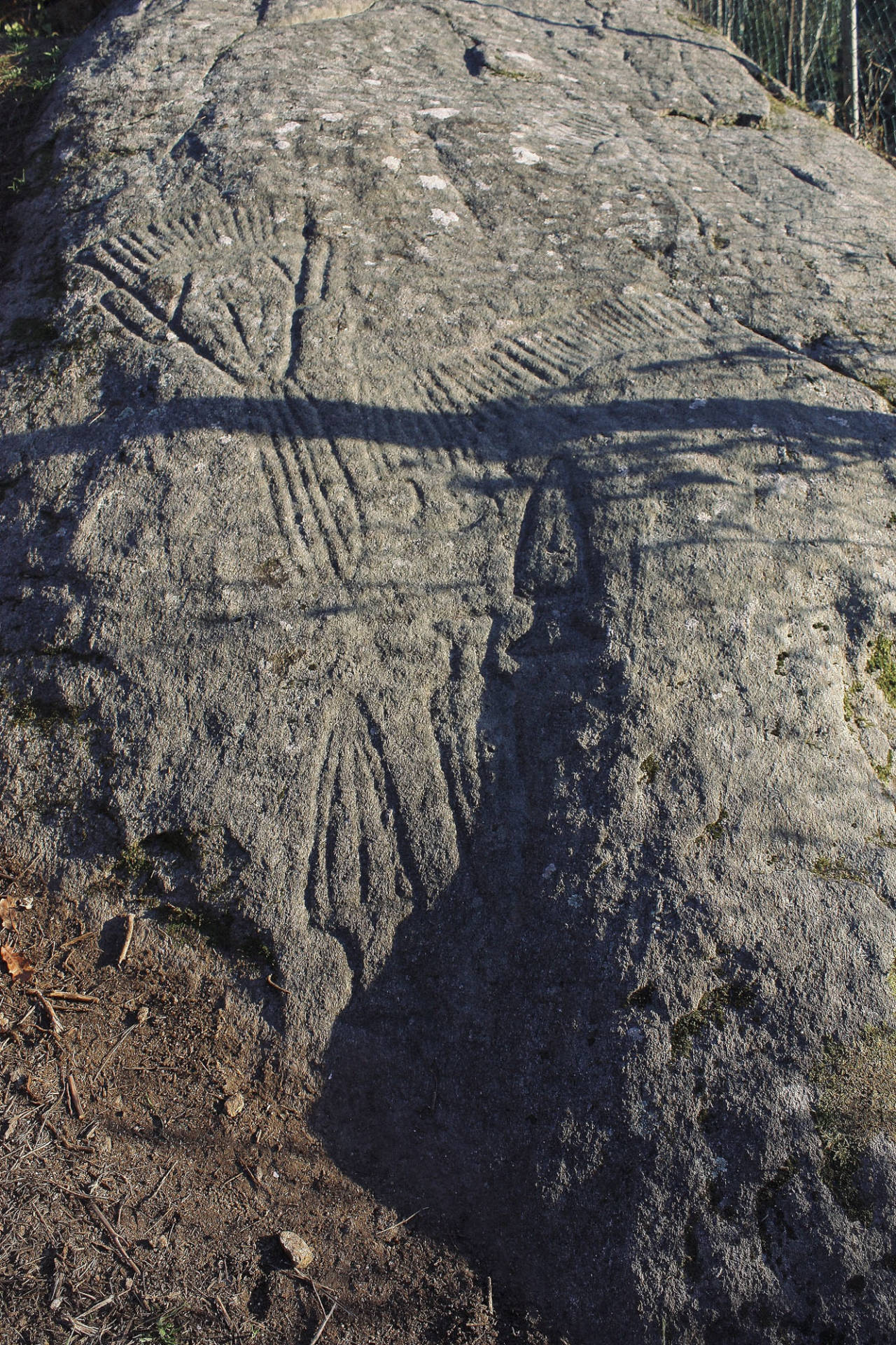 Vista general del petroglifo de Conxo de día. ©Colectivo a Rula.